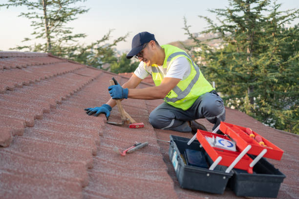 Quick and Trustworthy Emergency Roof Repair Services in Lugoff, SC